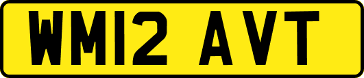 WM12AVT
