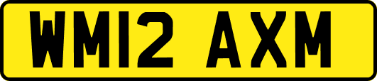 WM12AXM