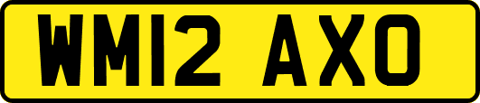 WM12AXO