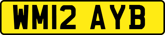 WM12AYB