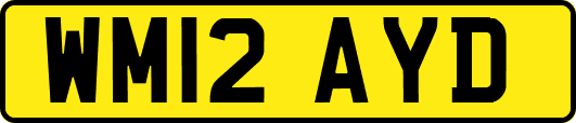 WM12AYD