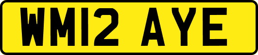 WM12AYE