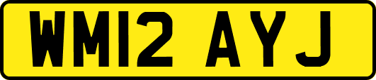 WM12AYJ