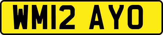 WM12AYO