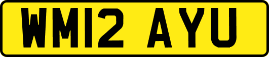 WM12AYU