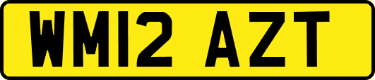 WM12AZT