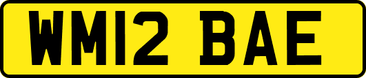 WM12BAE