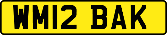 WM12BAK
