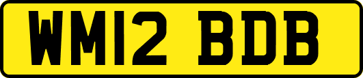 WM12BDB