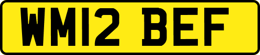 WM12BEF
