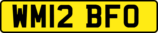 WM12BFO