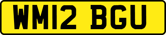 WM12BGU