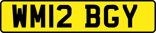 WM12BGY