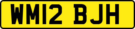WM12BJH