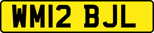 WM12BJL