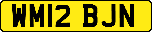 WM12BJN