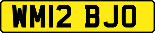WM12BJO
