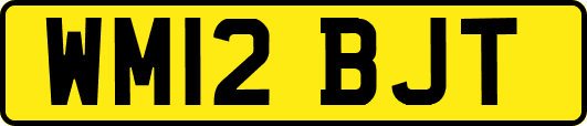 WM12BJT