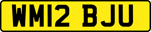 WM12BJU
