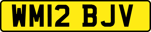 WM12BJV