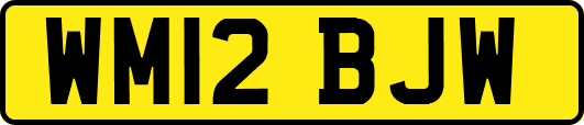 WM12BJW