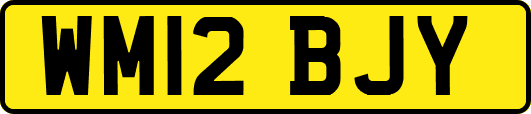WM12BJY
