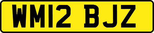 WM12BJZ