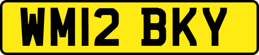 WM12BKY