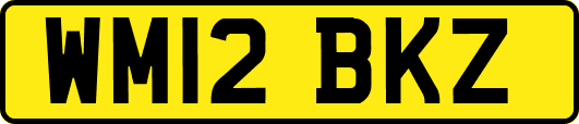 WM12BKZ