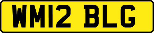 WM12BLG