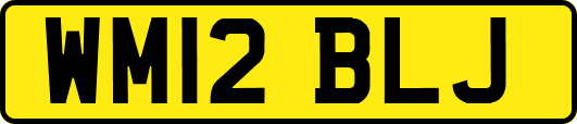 WM12BLJ