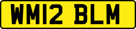 WM12BLM
