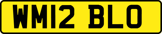 WM12BLO