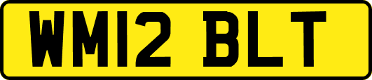 WM12BLT