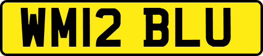 WM12BLU