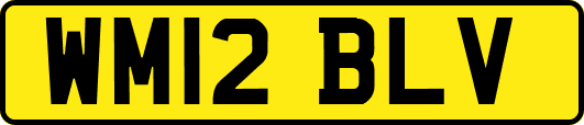 WM12BLV