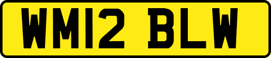 WM12BLW