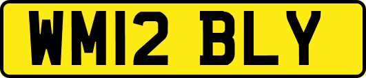 WM12BLY