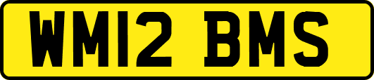 WM12BMS