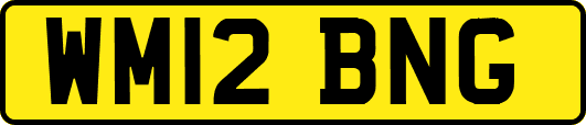 WM12BNG