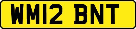 WM12BNT