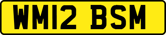 WM12BSM