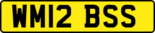 WM12BSS