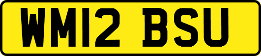 WM12BSU