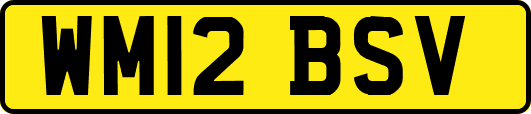 WM12BSV