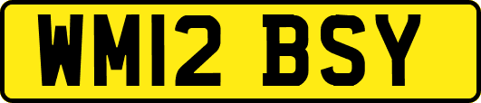 WM12BSY