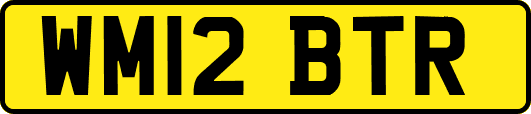 WM12BTR