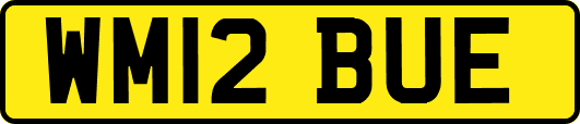 WM12BUE