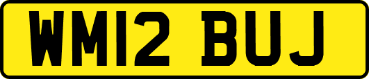 WM12BUJ