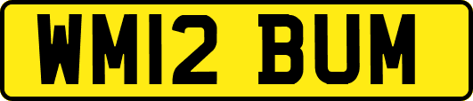 WM12BUM